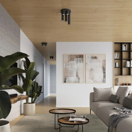 Plafond LAGOS 5P Schwarz