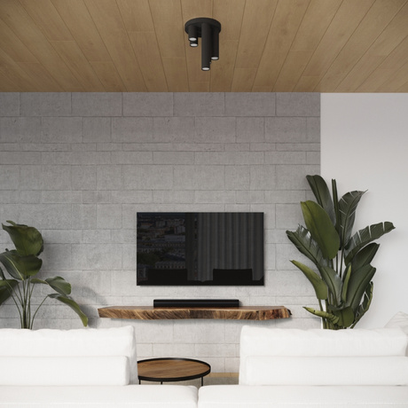 Plafond LAGOS 3P Schwarz