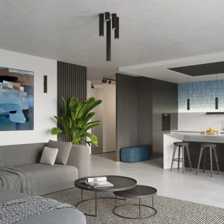 Plafond KARBON 30 schwarz