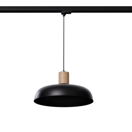 Pendelleuchte INDY schwarz E27