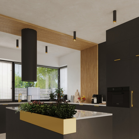 Plafond NERO 12,5 Schwarz/Golden