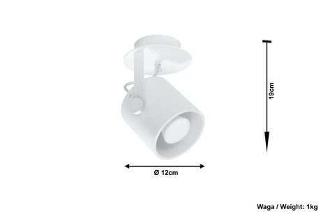 Plafond LAROSA 1 weiß