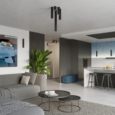 Plafond KARBON 20 schwarz